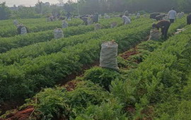 生产基地 (2).jpg